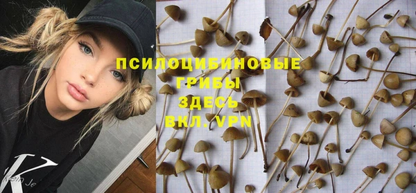 соль курить ск Медногорск