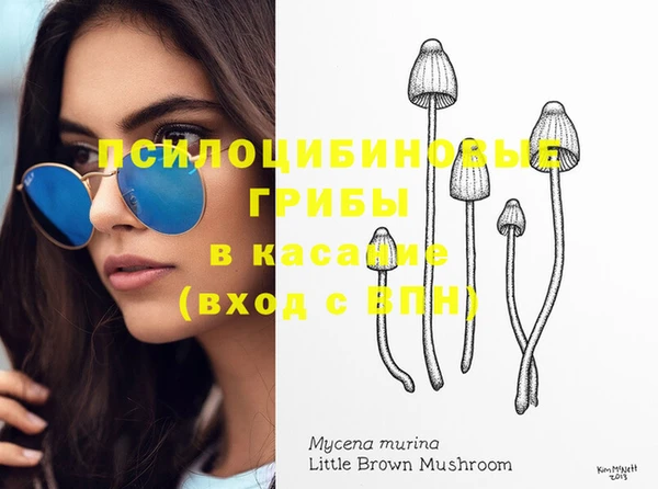 соль курить ск Медногорск