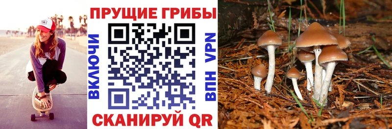 Псилоцибиновые грибы мицелий хочу Надым