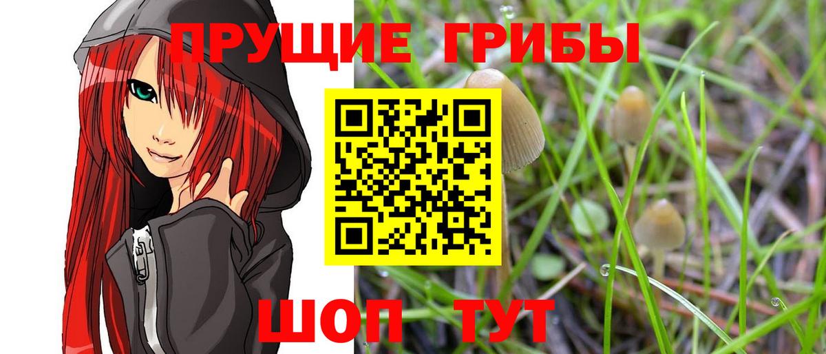 Псилоцибиновые грибы прущие грибы  дарнет шоп  Надым  Вход с VPN 